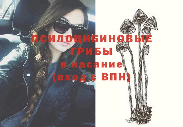 стафф Верхний Тагил